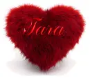 FURRY HEART: TARA