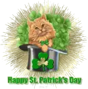 happy st patty