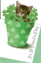 St Patty Day