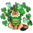 St Pattys Day