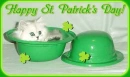 St Pattys Day