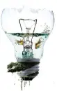 ecosystem 