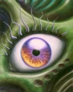 eye
