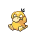 Psyduck