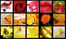 red, orange, yellow