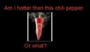 chili peper