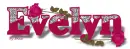 Evelyn-pink rose