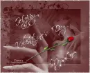 Happy Valentine's Day My Love