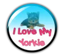 I LOVE MY YORKIE