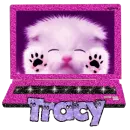 Tracy