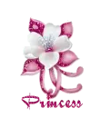 Princess