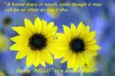 a friend stays