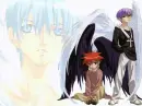 D.N.Angel