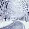 eat ice cream in the winter