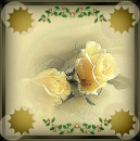 Yellow Rose