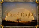 good night