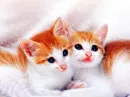 Two sisters 