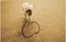 love in the sand <3