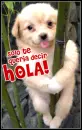 Hola 