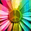 Peace Flower