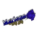 Marlena blue rose
