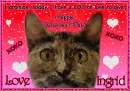 Love Ingrid
