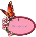 hello my friend