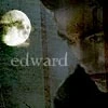 Twilight