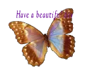 BUTTERFLY HAVE A BEAUTIFUL DAY