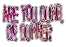 are you dumb?