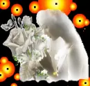 Lady