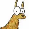 llama