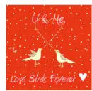 U & Me, Love Birds Forever