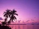 pink sky