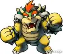 bowser