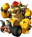 bowser on car