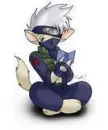 kakashi neko kitty
