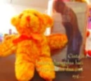 cute teddy
