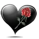black heart with rose