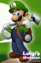 luigi mansion