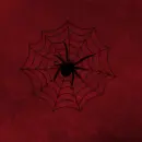 black spider
