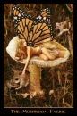 the mushroom Faerie