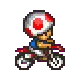 toad on bike