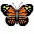 little butterfly