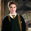 Cedric Diggory
