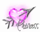 PRINCESS Heart n Arrow Pink
