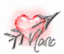 NANC Heart n Arrow red