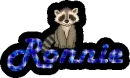 Raccoon- Ronnie