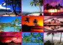 hawaiin background