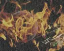 the fire